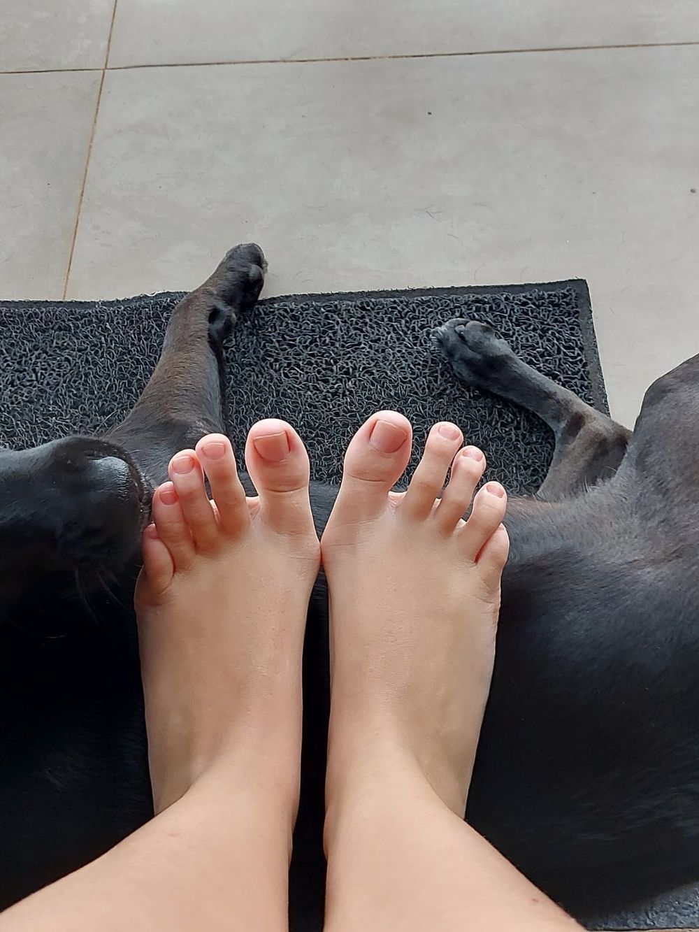 whiteangelfeetbr OnlyFans profile picture