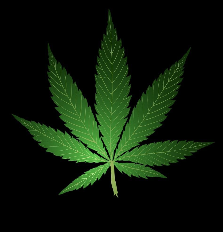 officialxic OnlyFans profile picture