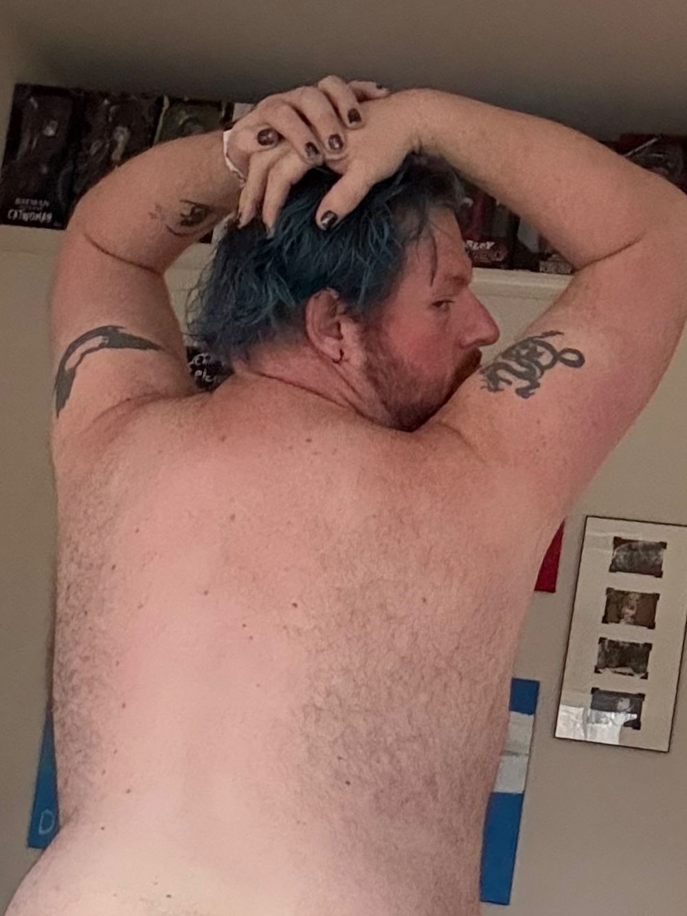 thenovagaybear39 OnlyFans profile picture