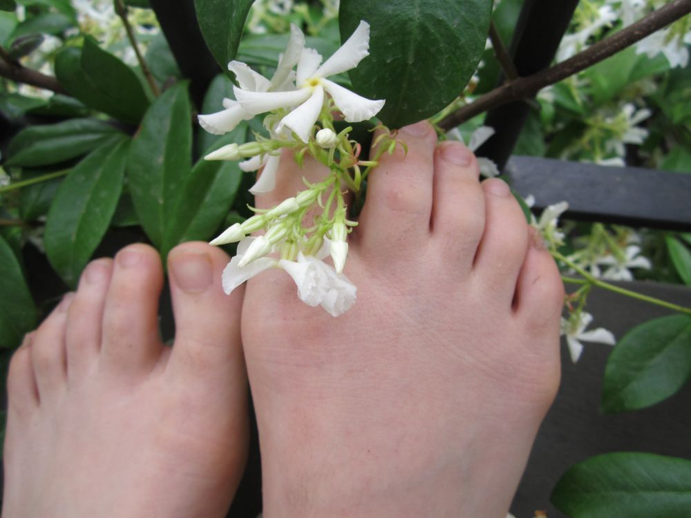 harmonius_feet OnlyFans profile picture
