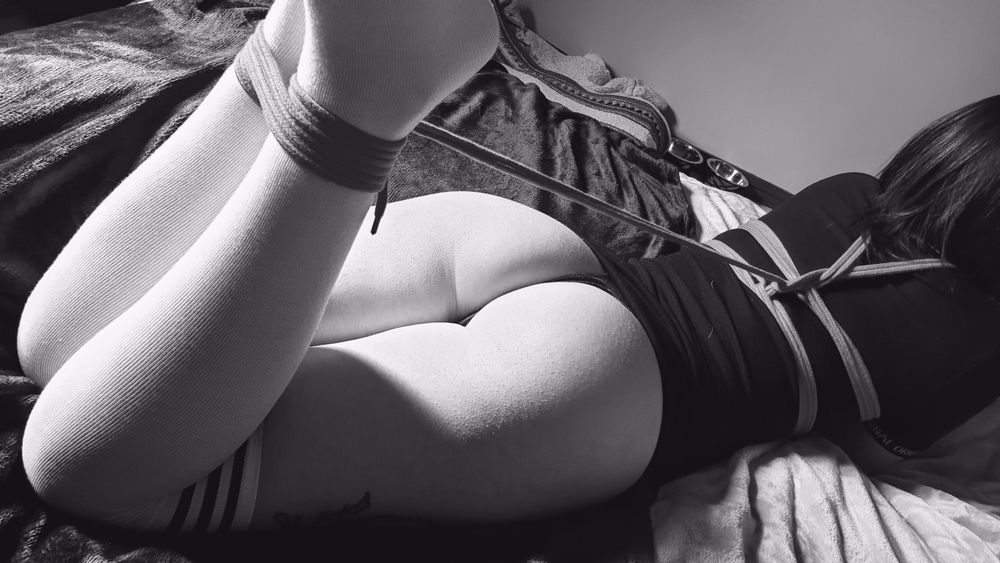 shibarikitten OnlyFans profile picture