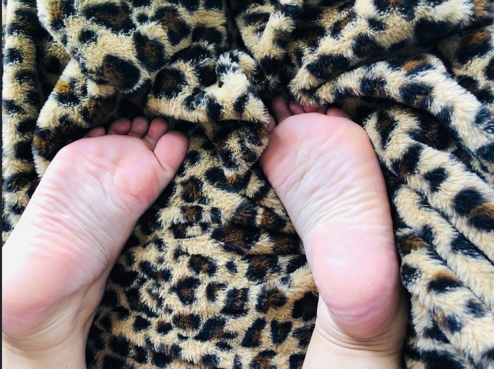 tinyleefeet OnlyFans profile picture