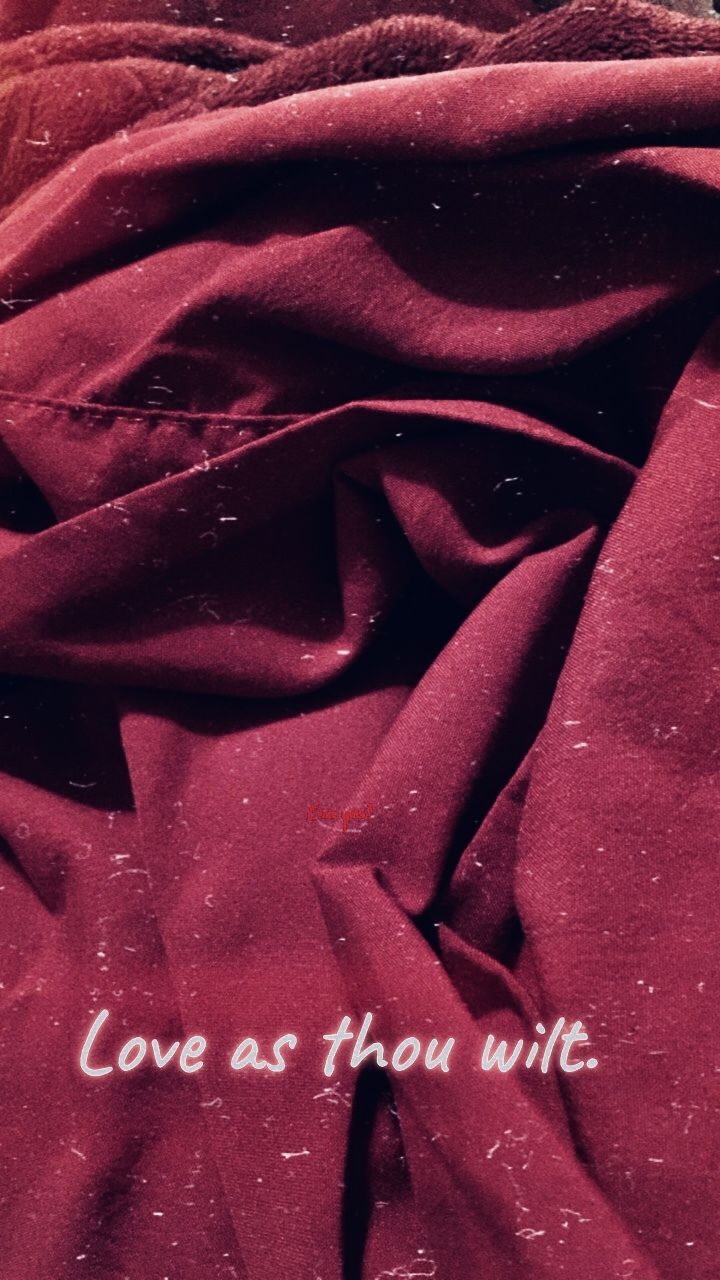 lovedmalady OnlyFans profile picture
