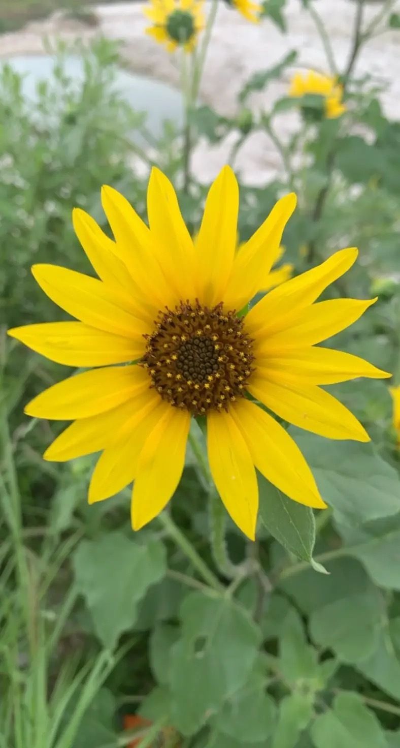 u91216430 OnlyFans profile picture