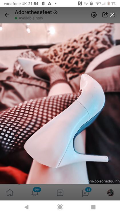 raptortoes OnlyFans picture