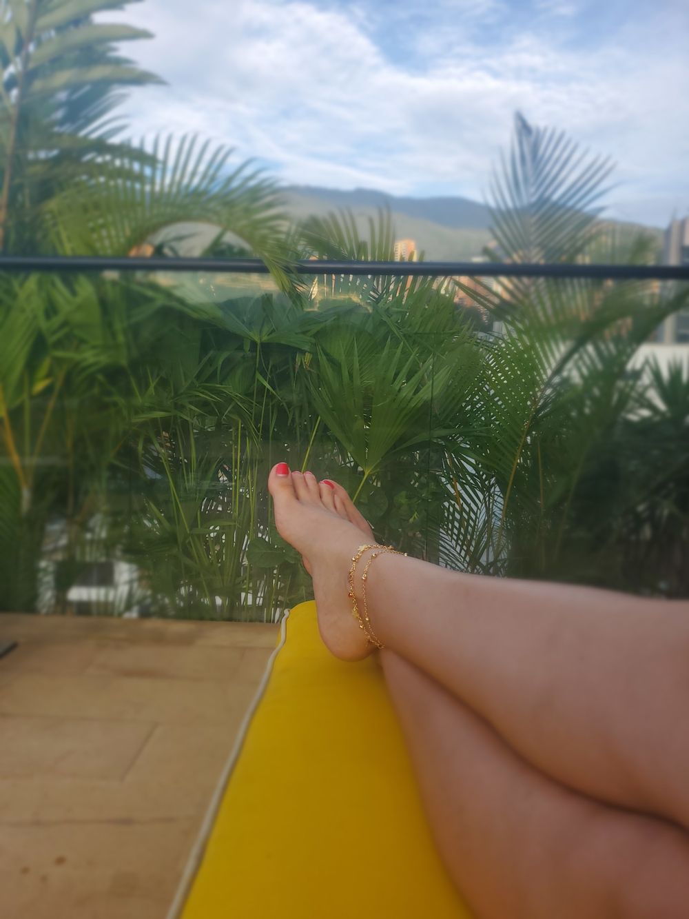 toelustxo OnlyFans profile picture
