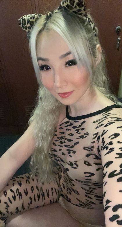 oriental_doll OnlyFans picture