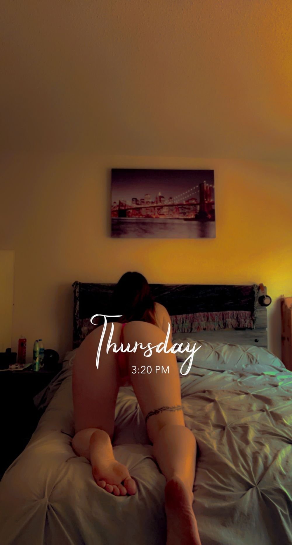 u38756587 OnlyFans profile picture