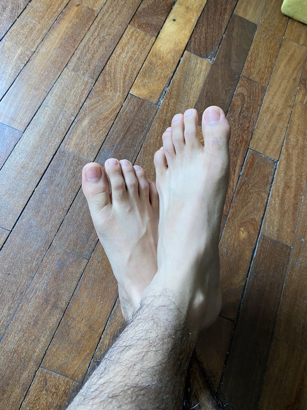 dave.alexis OnlyFans profile picture