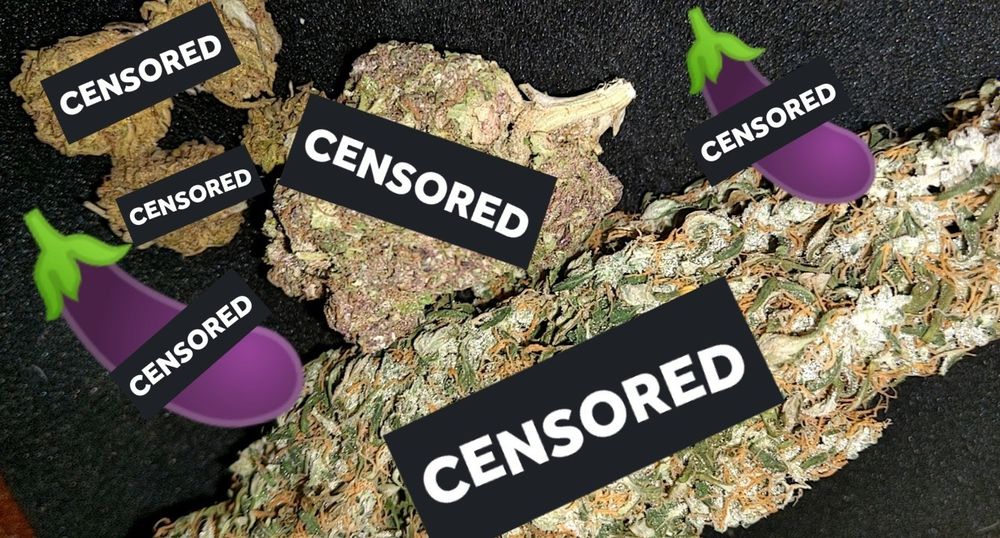 mydickandsomeweed OnlyFans profile picture