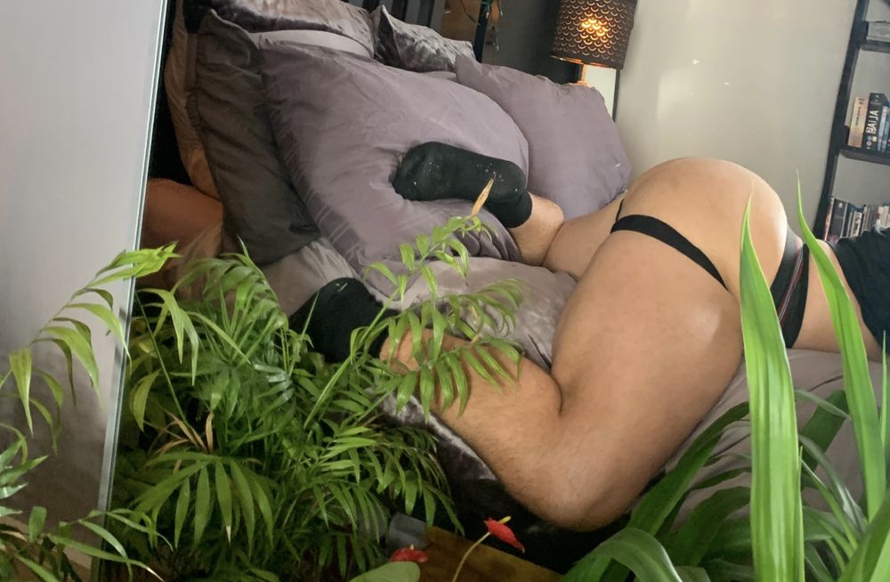 elljacquell OnlyFans profile picture