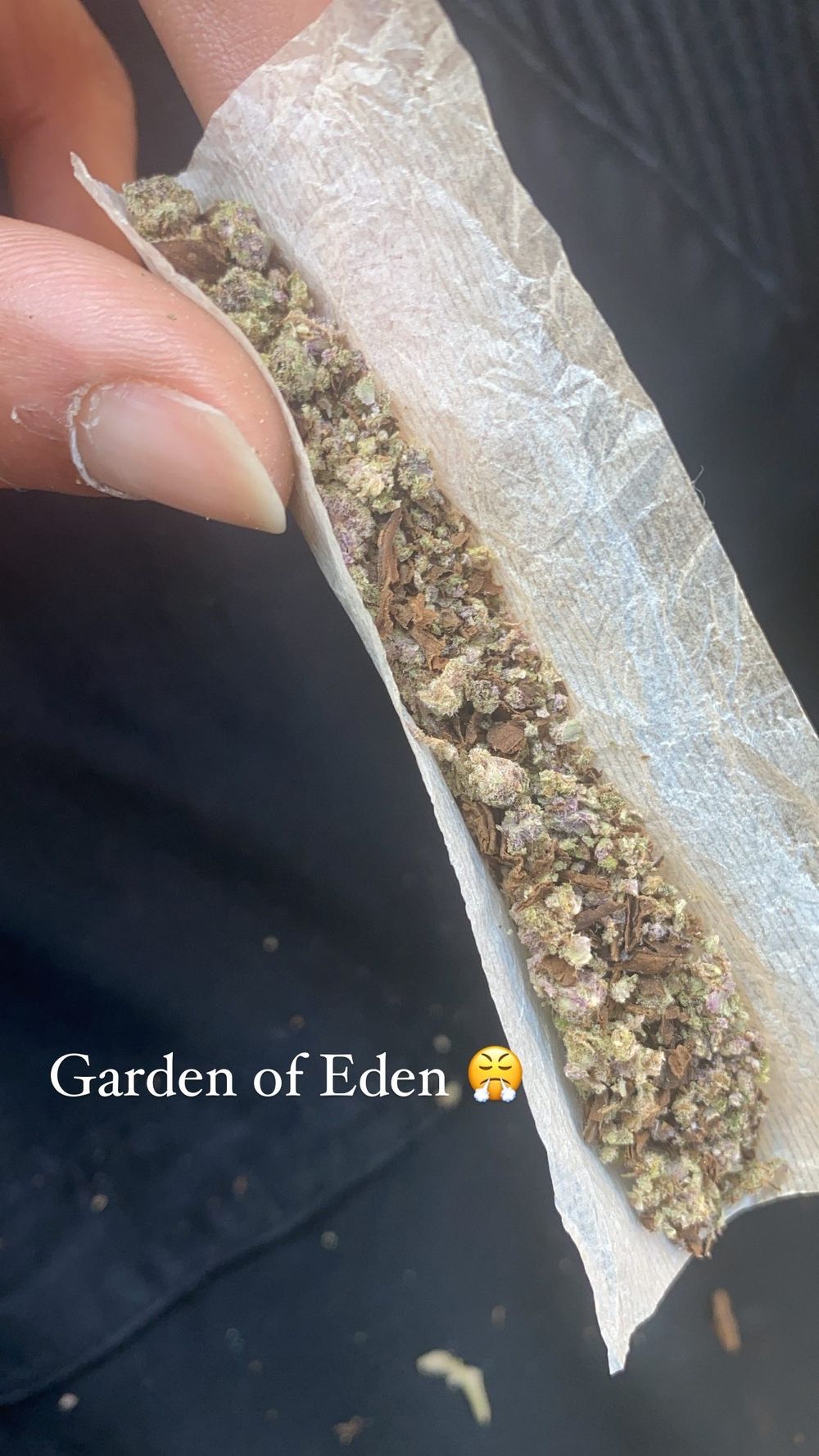 slimdickadown OnlyFans profile picture