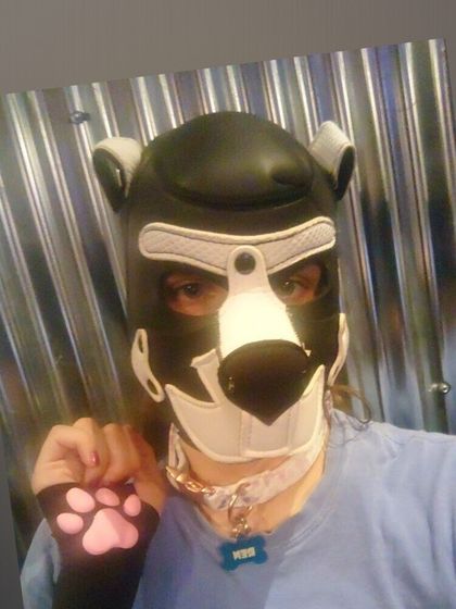 ren_the_puppy OnlyFans picture