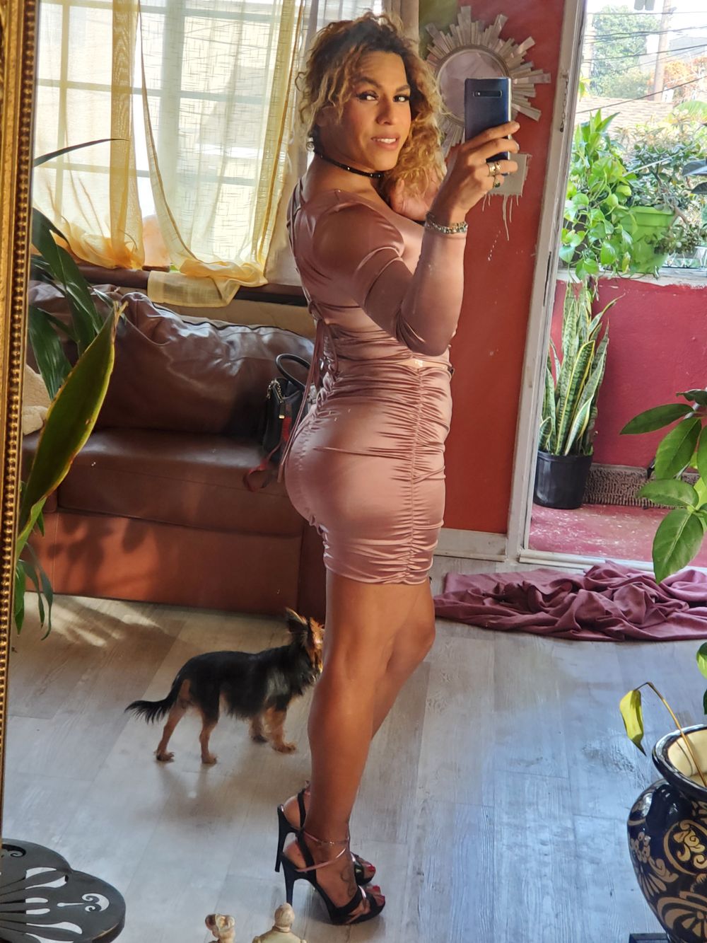 labombacatracha OnlyFans profile picture