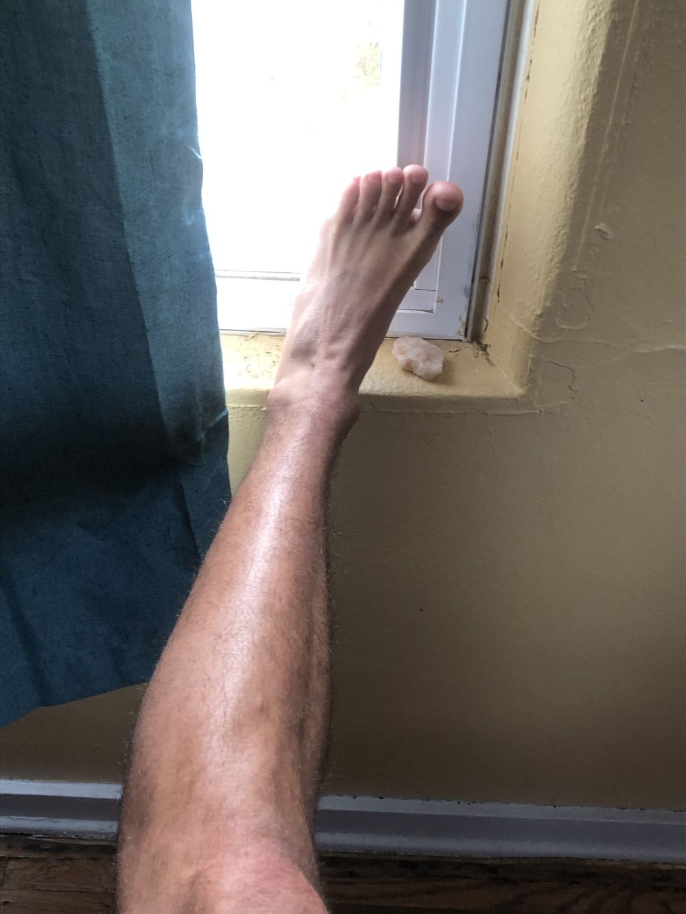 transboi555 OnlyFans profile picture