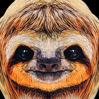 slothstronaut OnlyFans picture