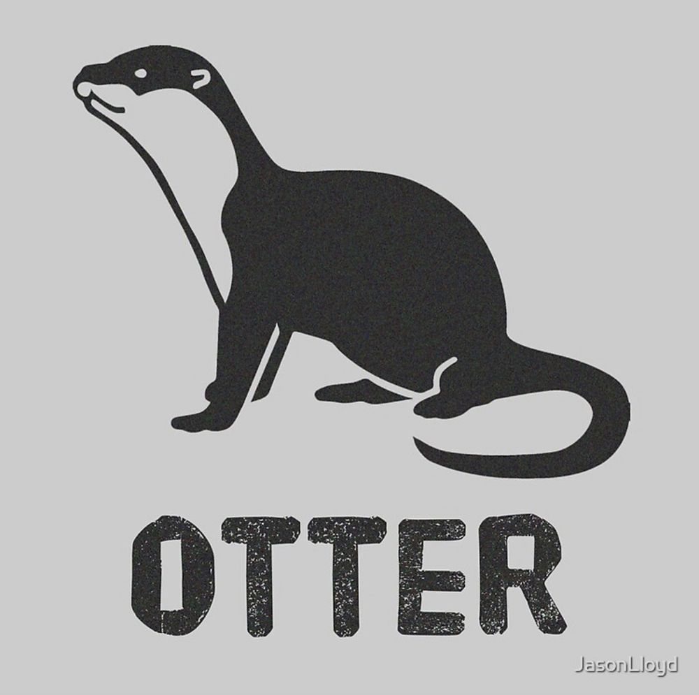 chasingotter OnlyFans profile picture