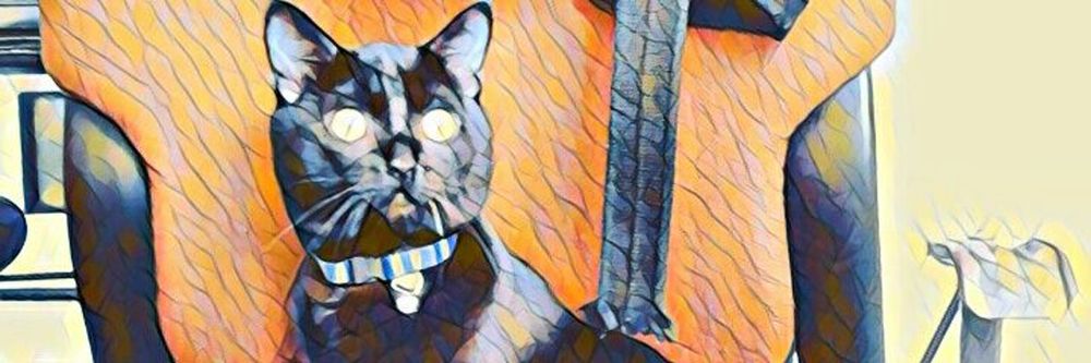 reallytrippycat OnlyFans profile picture