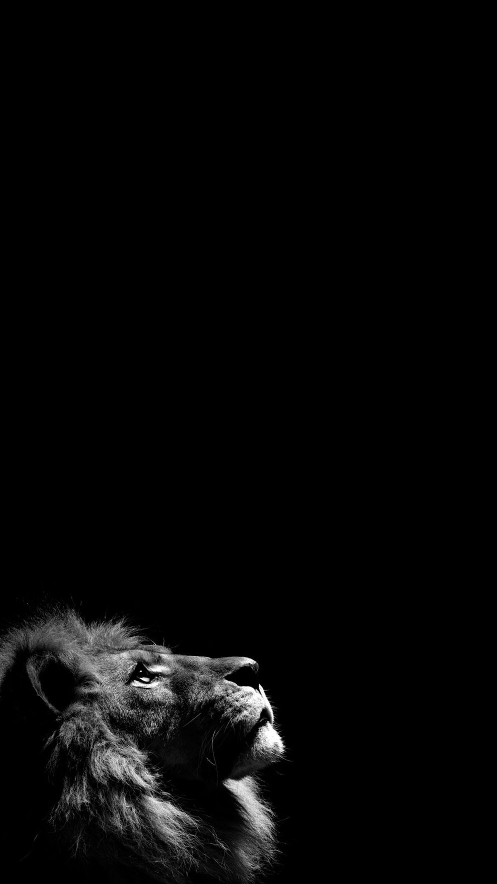 darkknight0814 OnlyFans profile picture