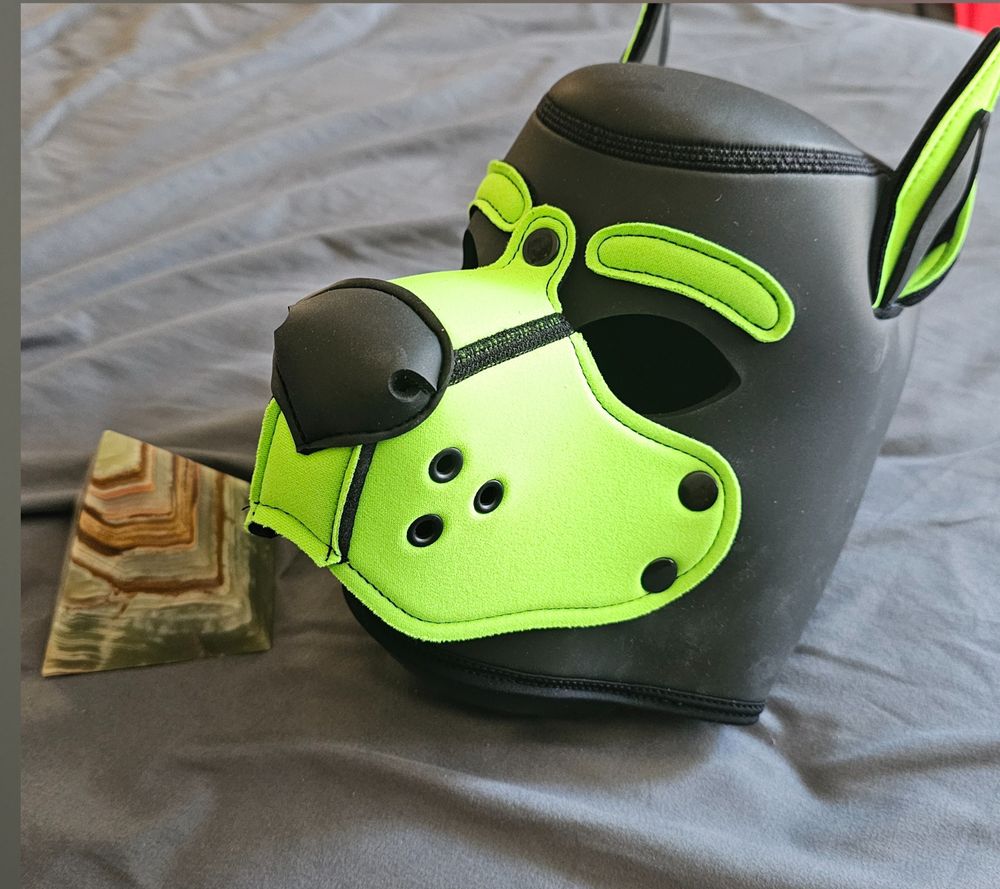 pupboianubis OnlyFans profile picture