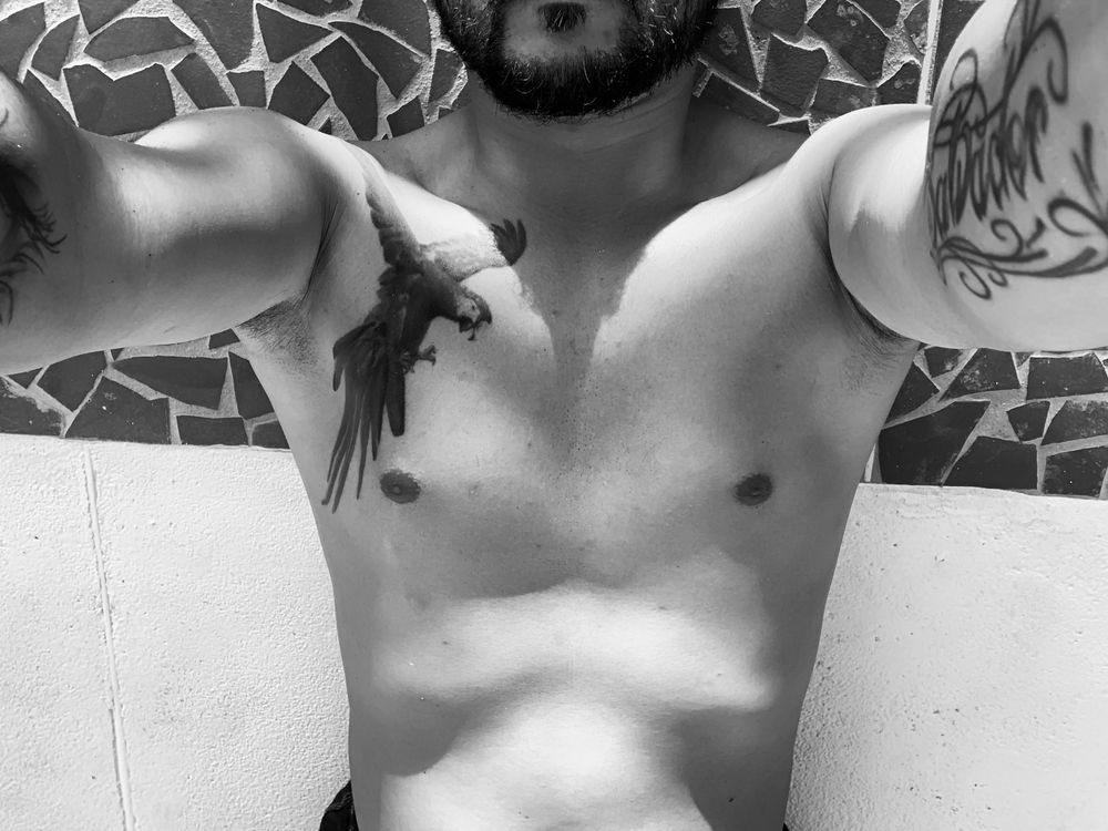 guacamayacolorada OnlyFans profile picture