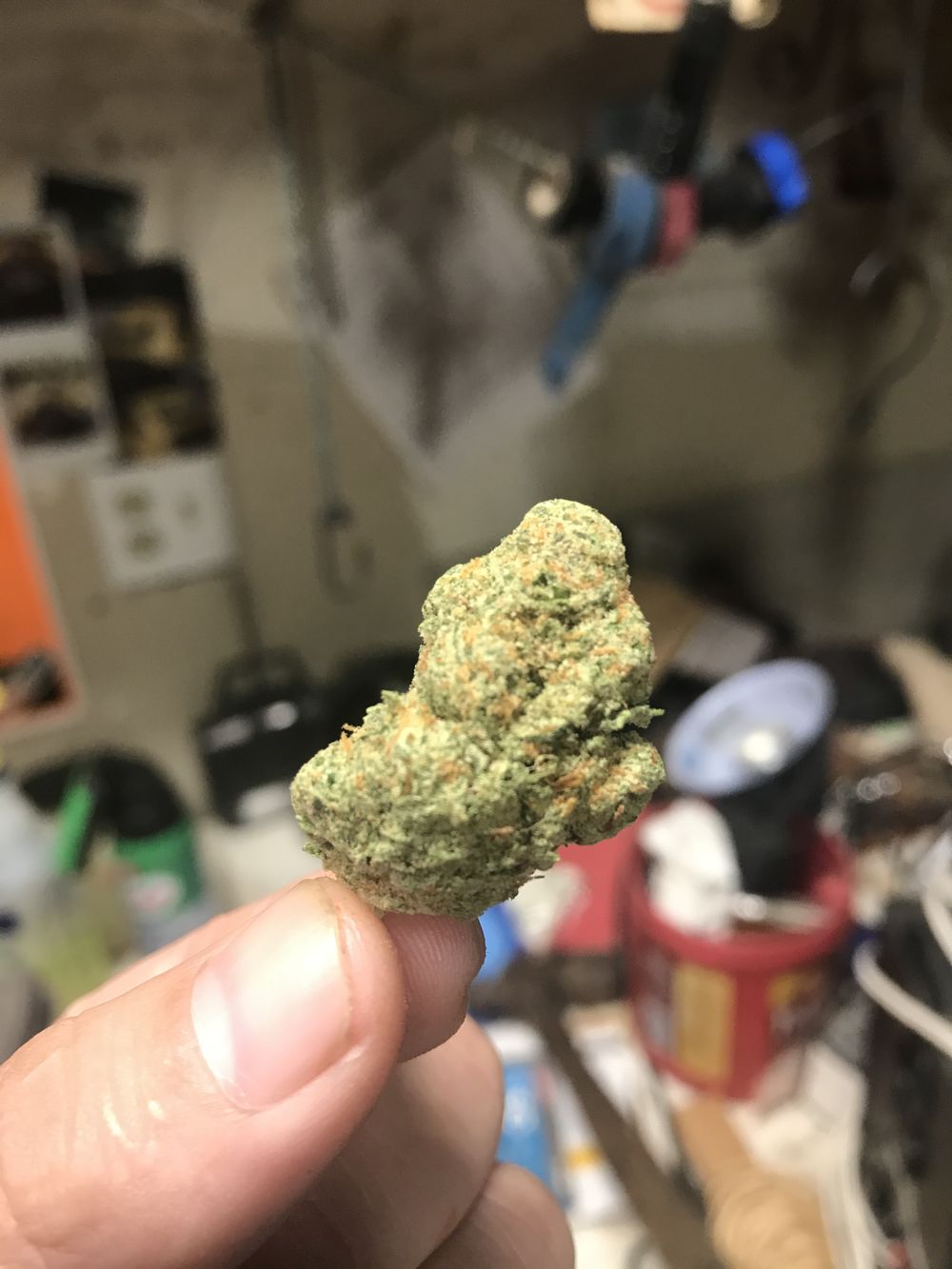 sirdabsalot420 OnlyFans profile picture