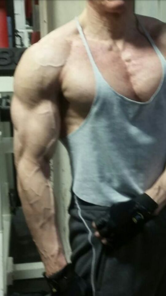versmuscledddy OnlyFans profile picture