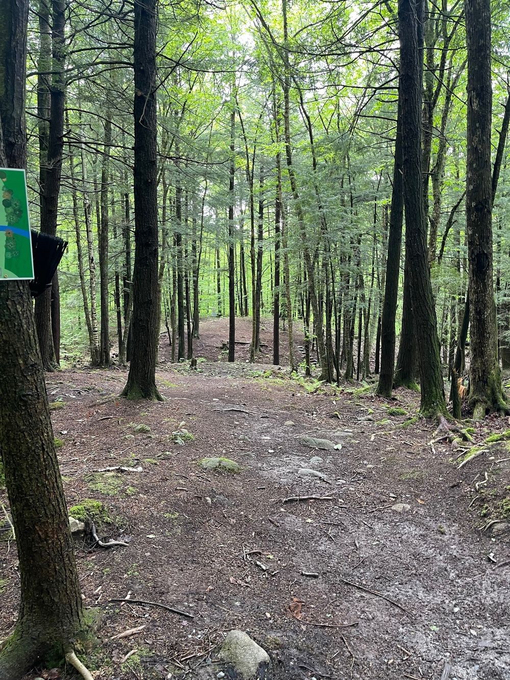 vermontlivin OnlyFans profile picture