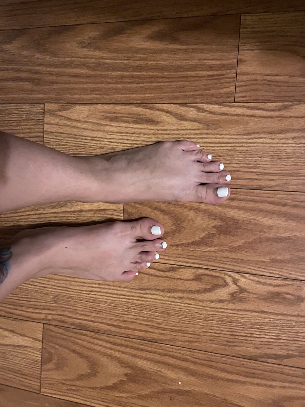 u123531165 OnlyFans profile picture