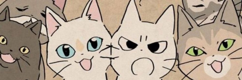 misscat162210 OnlyFans profile picture