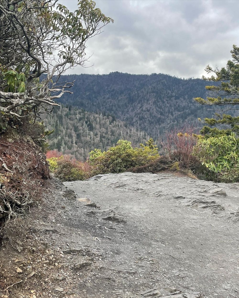 sweetgapeach2022 OnlyFans profile picture