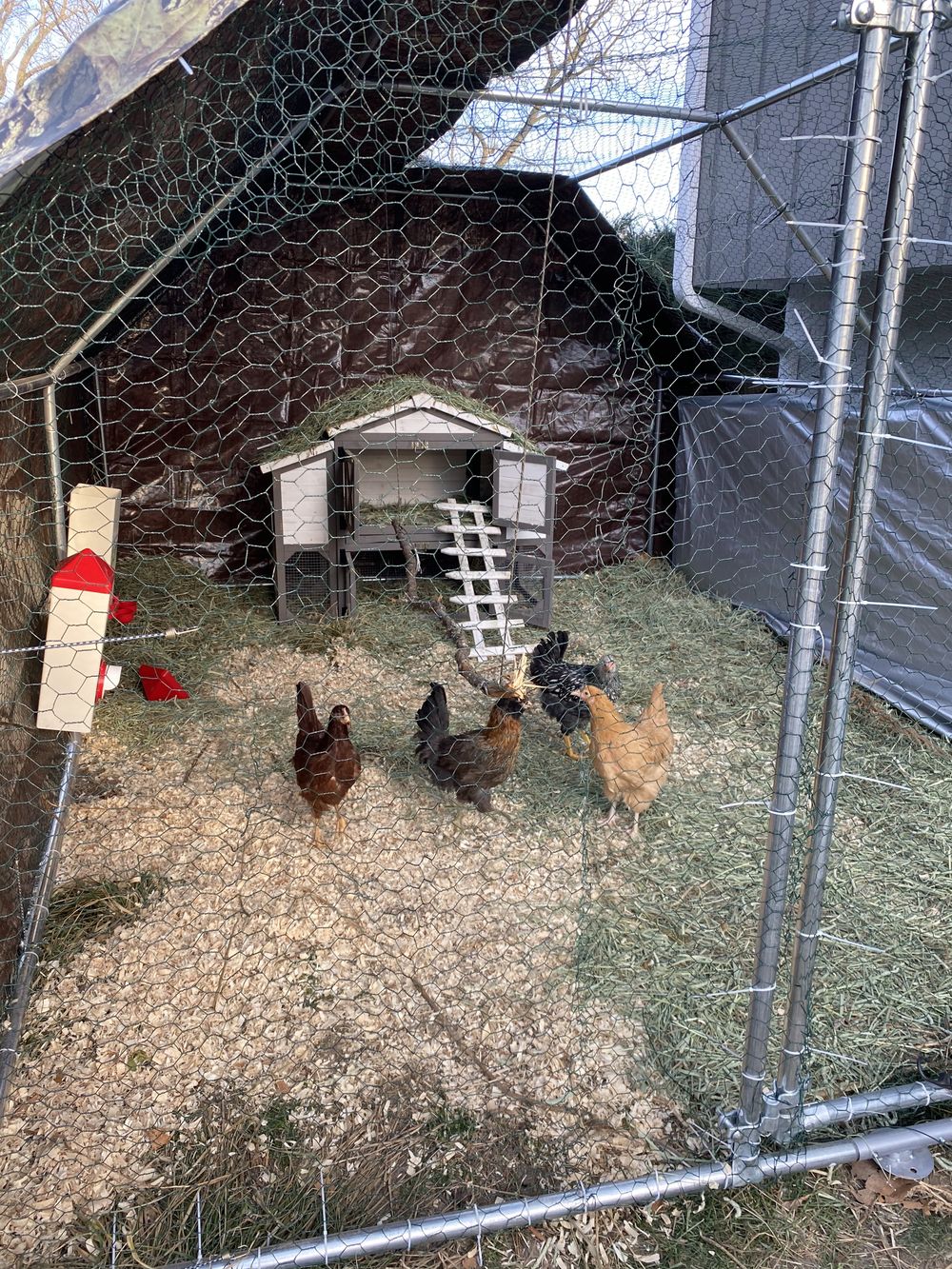 suburbancocks OnlyFans profile picture