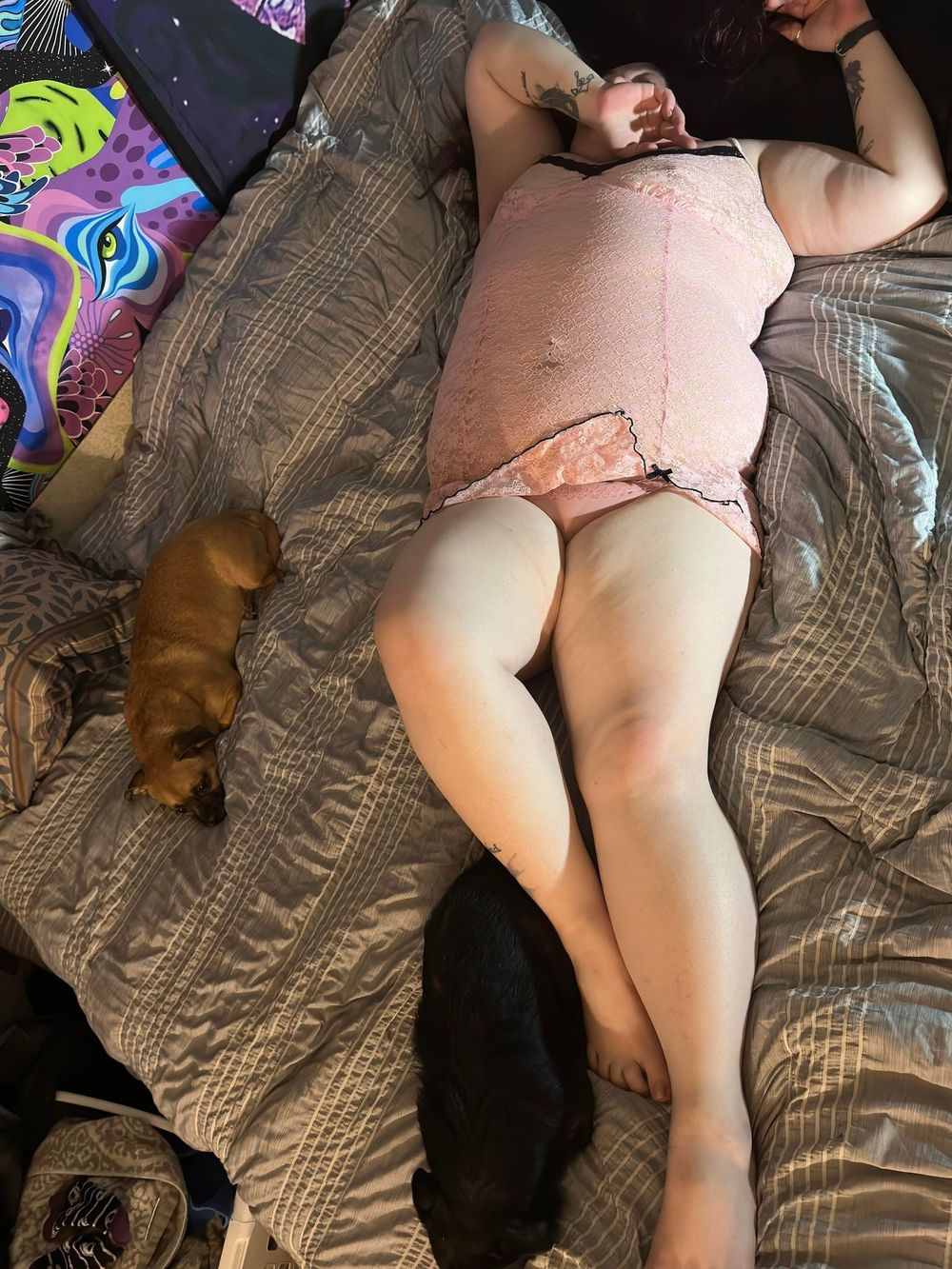 bridadrey88 OnlyFans profile picture