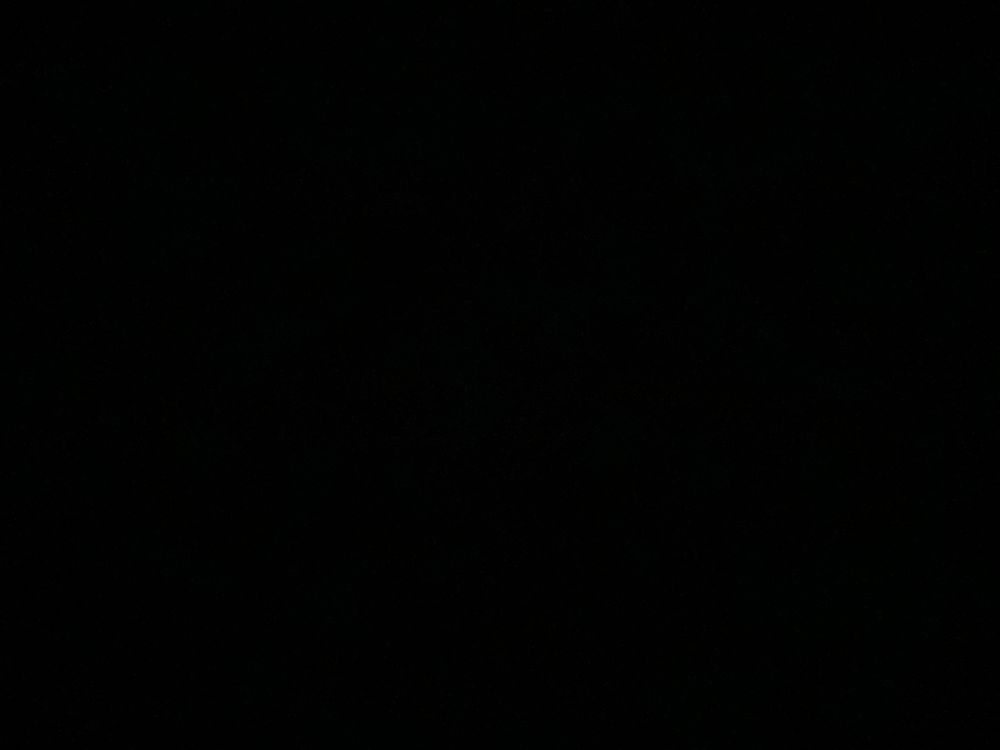 shon_1205 OnlyFans profile picture