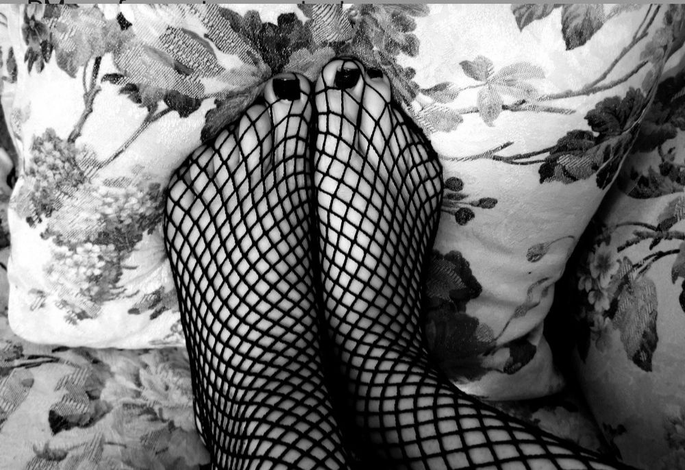 feedmeifudare OnlyFans profile picture