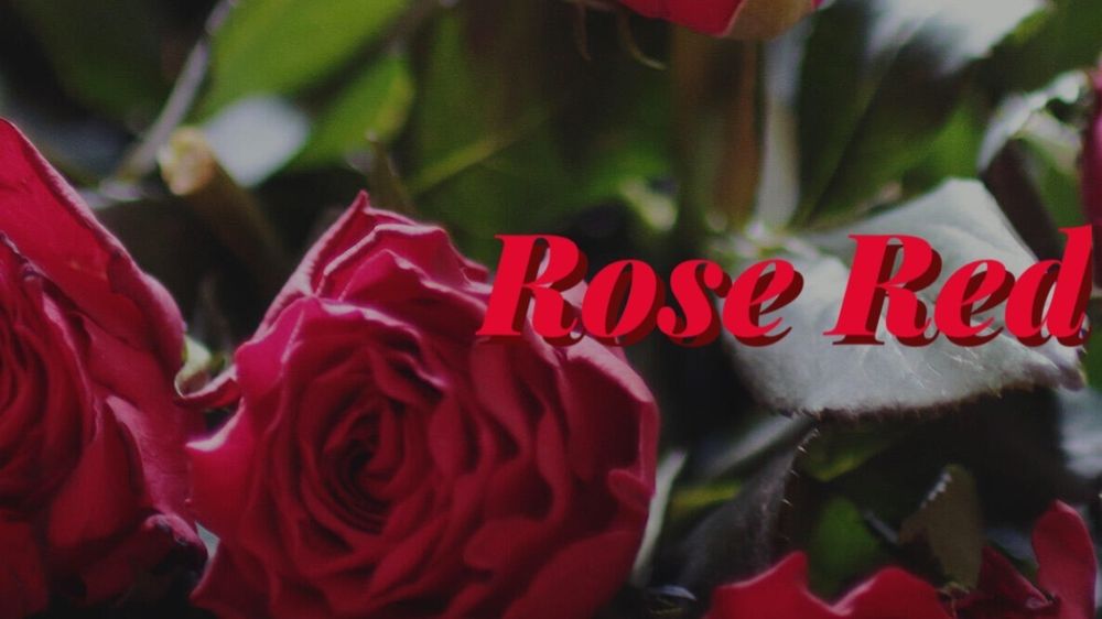 deep.rose.red OnlyFans profile picture