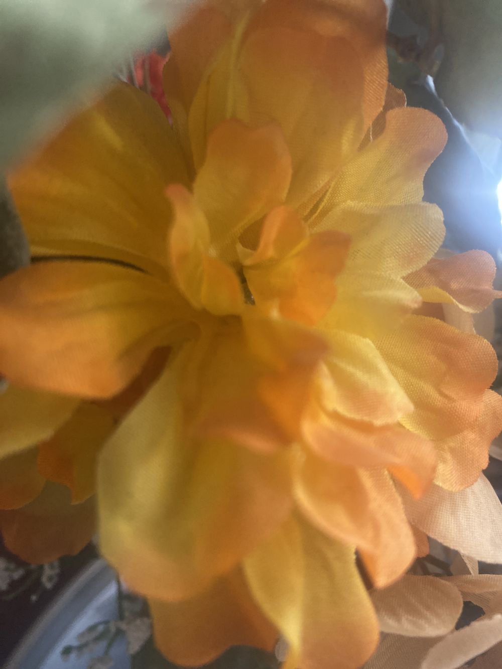 nikibabeey OnlyFans profile picture