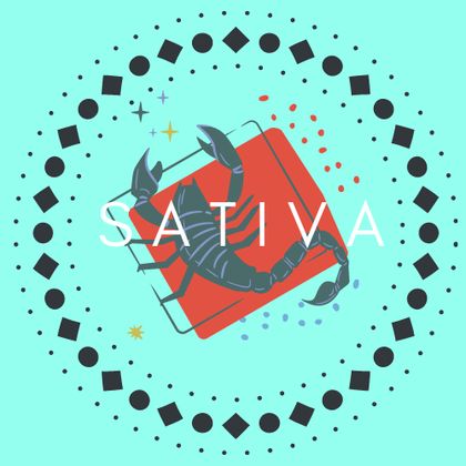 sativalov31 OnlyFans picture