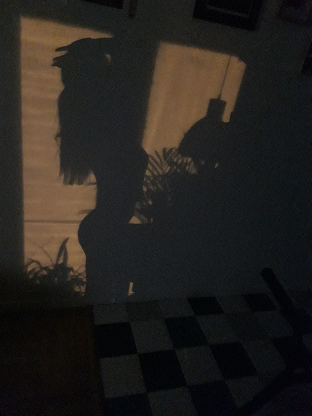 lillyfeline OnlyFans profile picture
