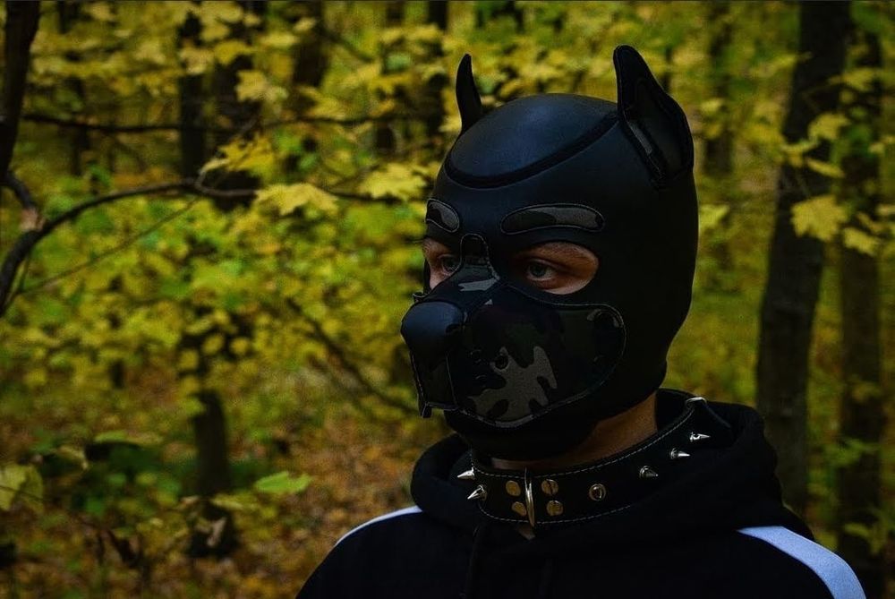 tommysb OnlyFans profile picture