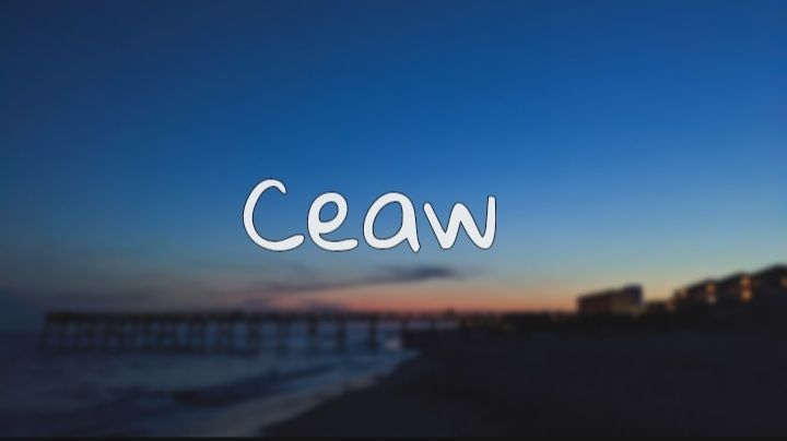 u22351783 OnlyFans profile picture
