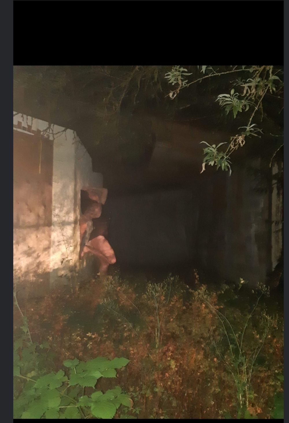 u231355092 OnlyFans profile picture