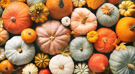 pumpkin006 OnlyFans profile picture