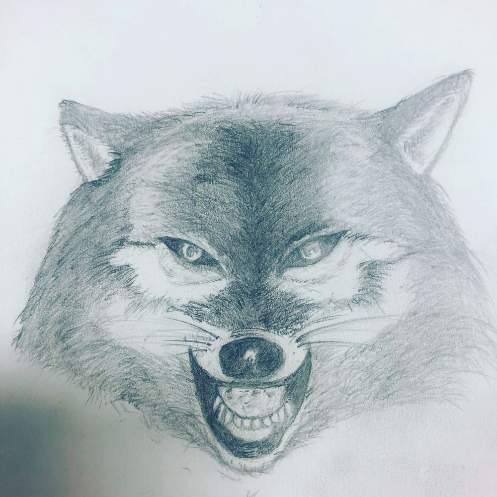 wolfers2020 OnlyFans profile picture