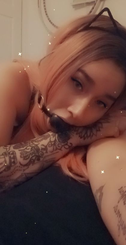 bbys5layrbreto OnlyFans picture