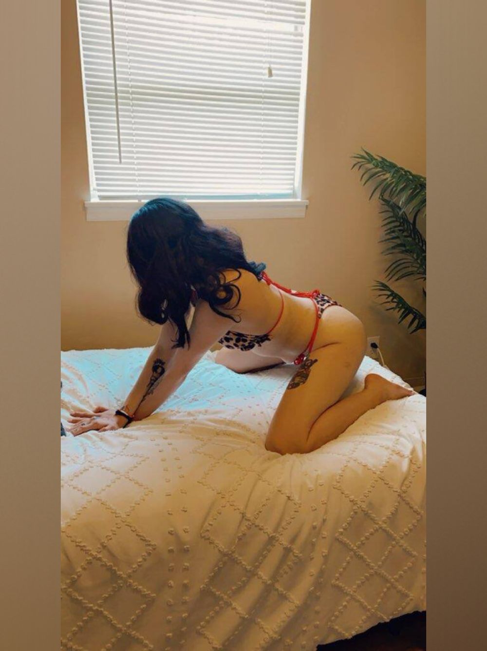 hennessybgfinesse OnlyFans profile picture