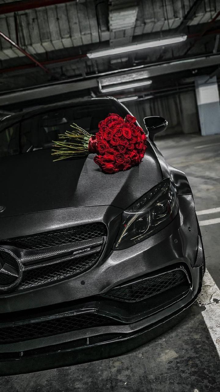 u53410517 OnlyFans profile picture