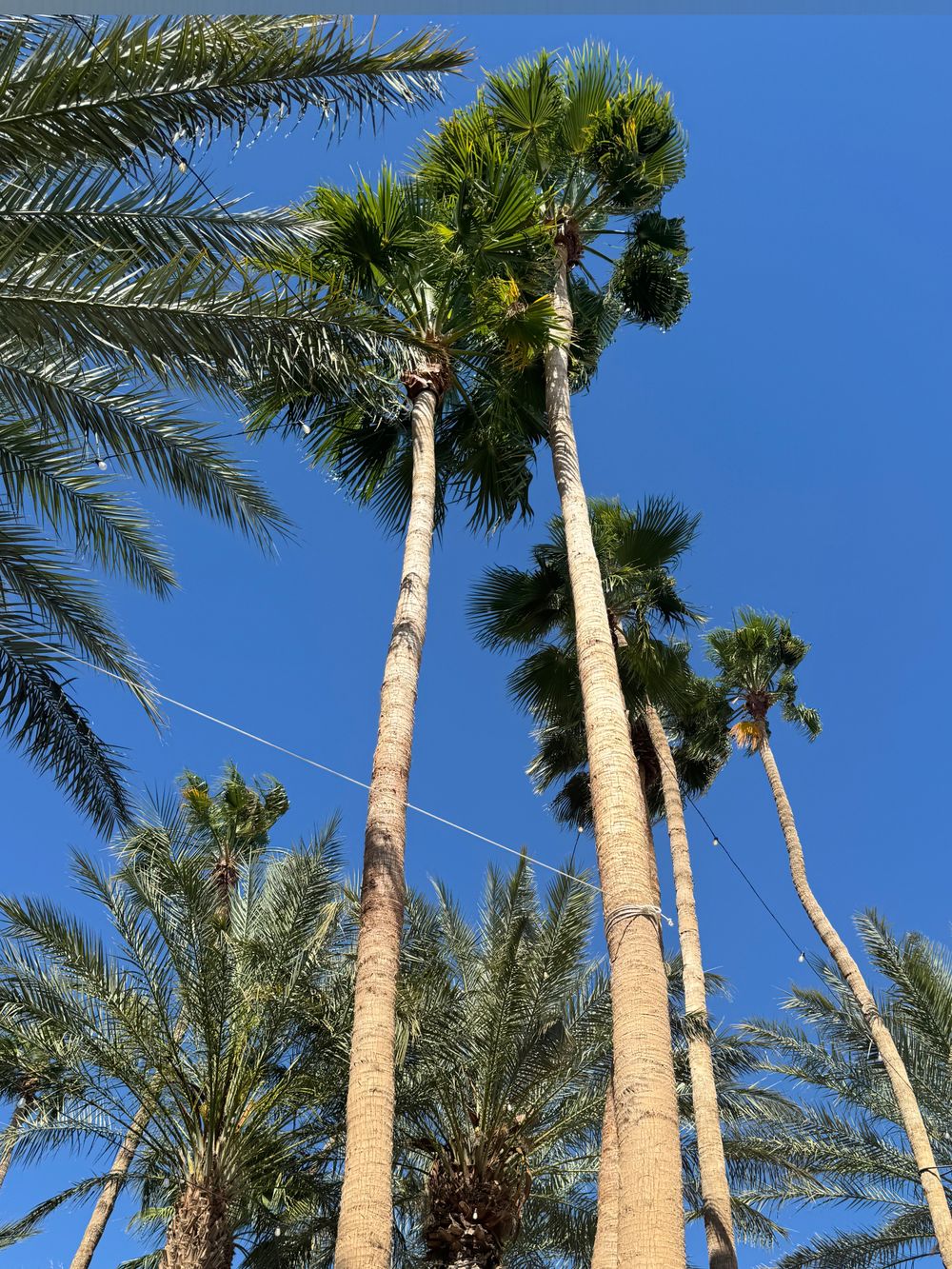 swear OnlyFans - Free Trial - XXX Photos | FansMetrics.com