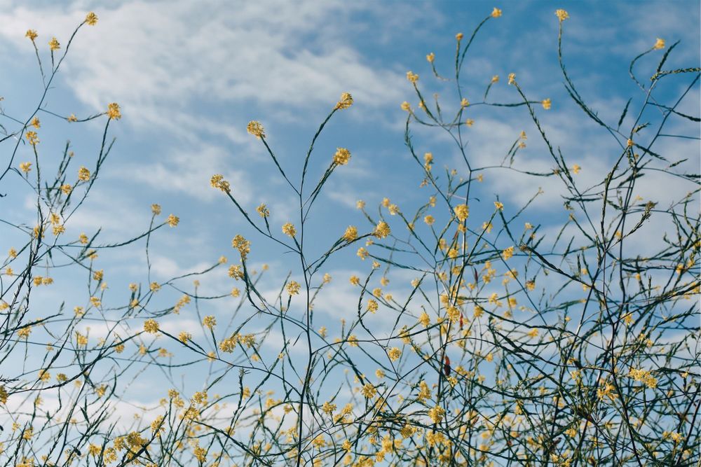 your.anon.girl OnlyFans profile picture