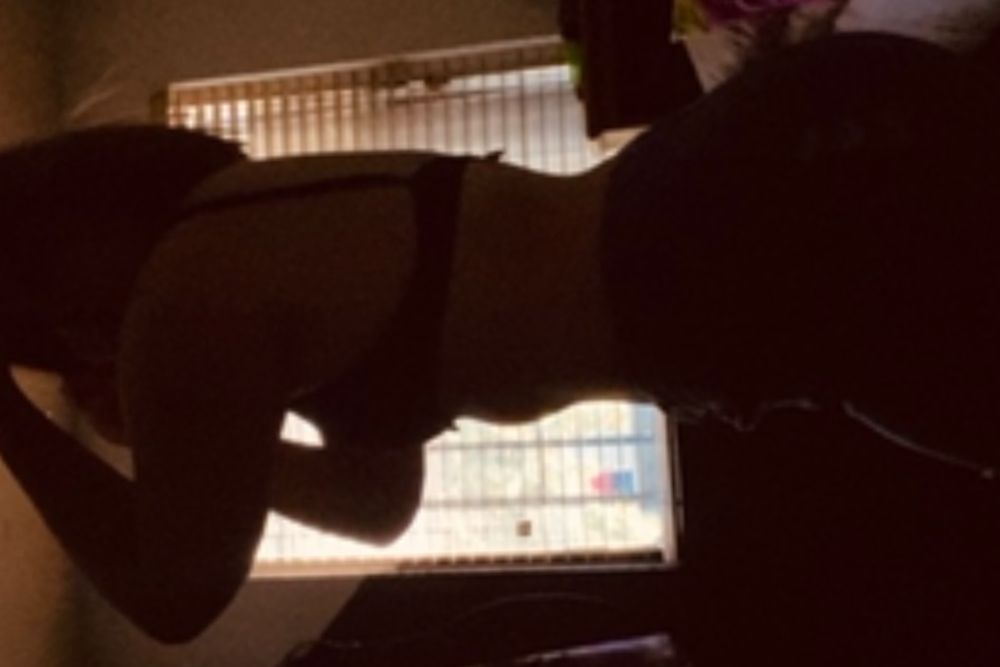 crysvqzhdz OnlyFans profile picture